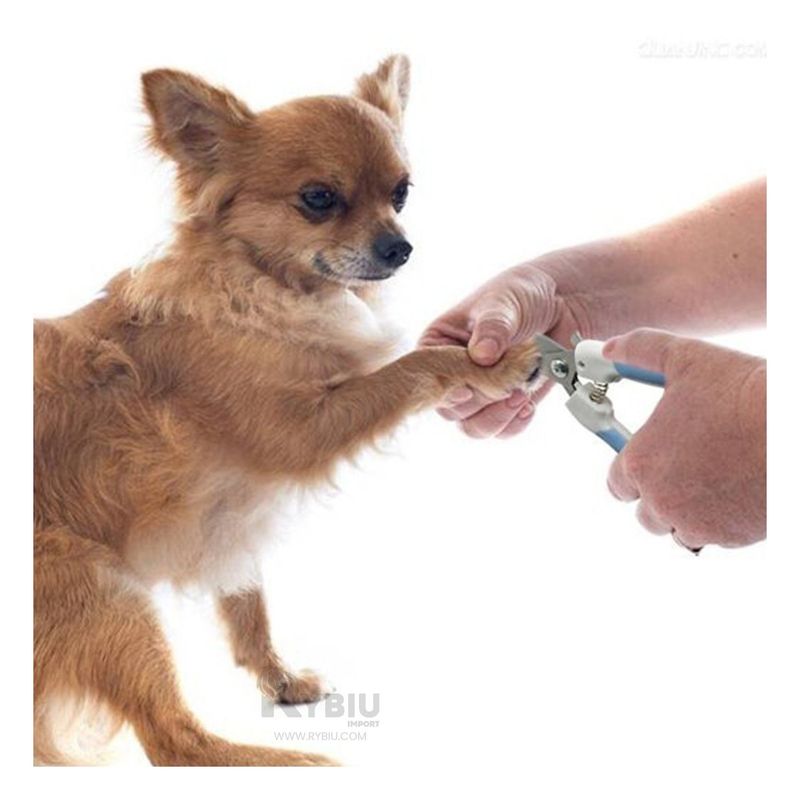 GENERICO - Cortador de Uñas de Diseño Grande Azul Y+Gift MiniAgenda