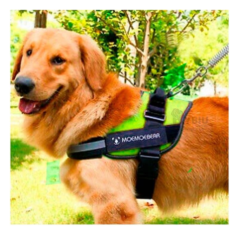 RYBIU IMPORT - Arnes para Perros Activos Talla M de Color Verde
