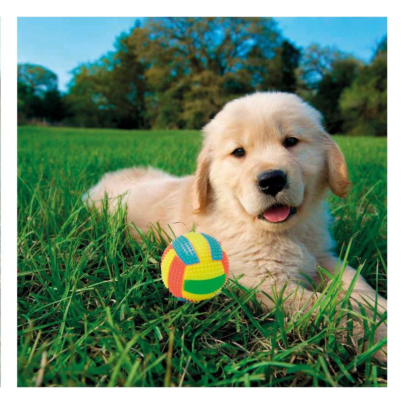 RYBIU IMPORT - Pelota con Luces y Sonido en Tono Amarillo Y+Papel de Regalo