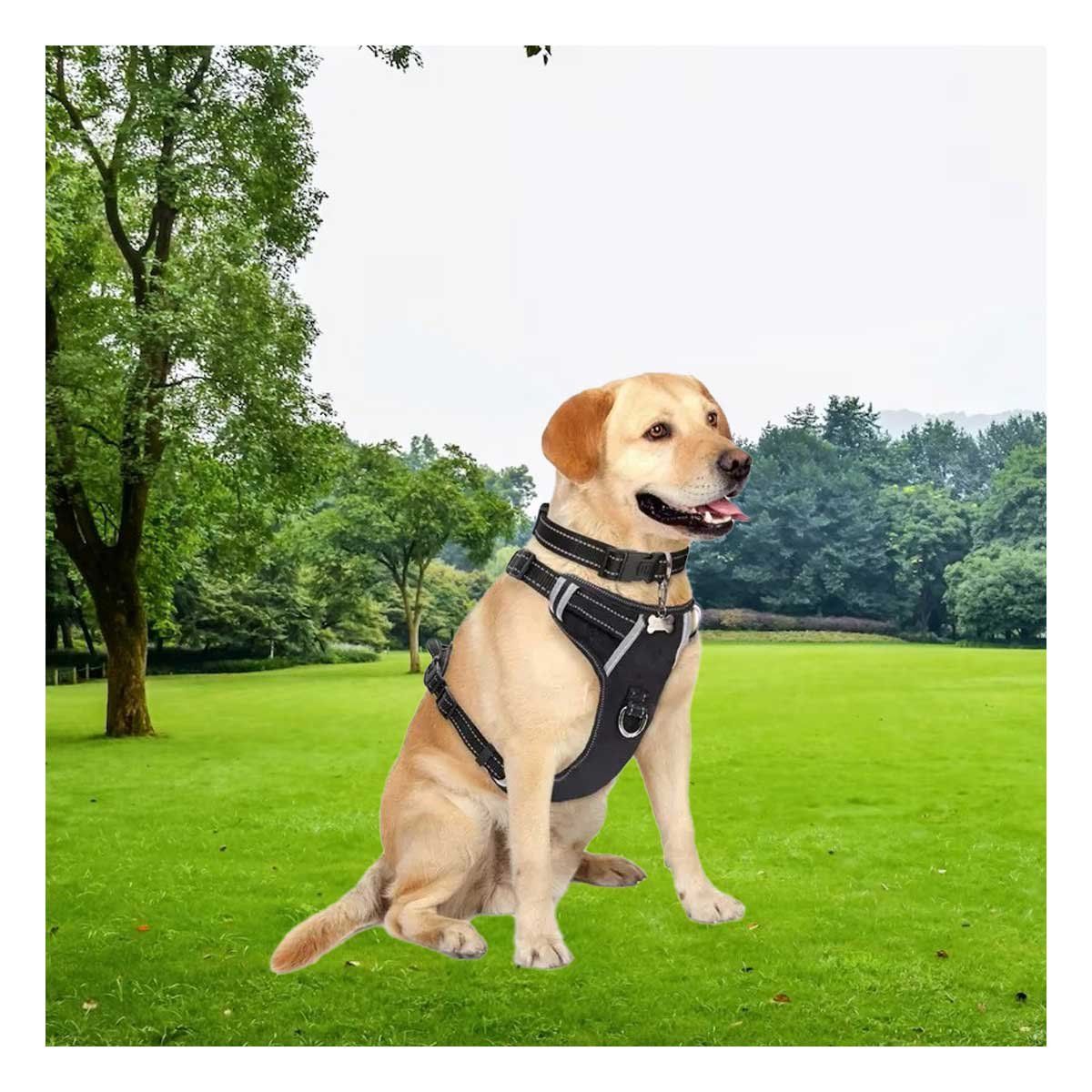 RYBIU IMPORT - Pechera para Canes con Forro Suave S Negro Y+Papel de Regalo