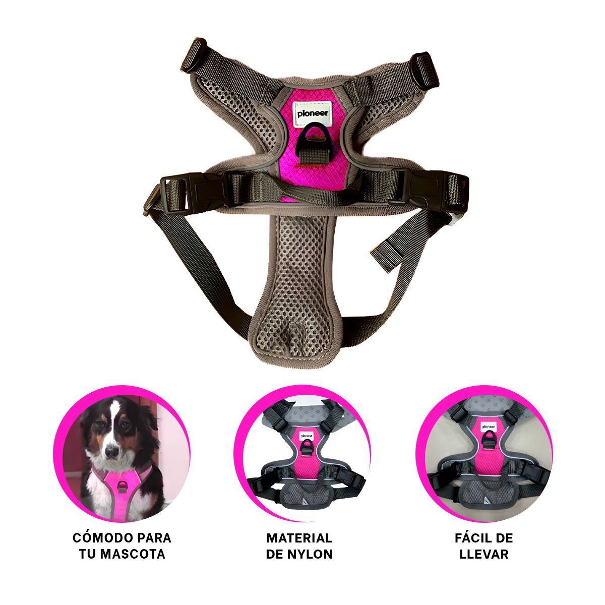 RYBIU IMPORT - Pechera Moderna Perros en Fucsia Y+Ligas de Regalo