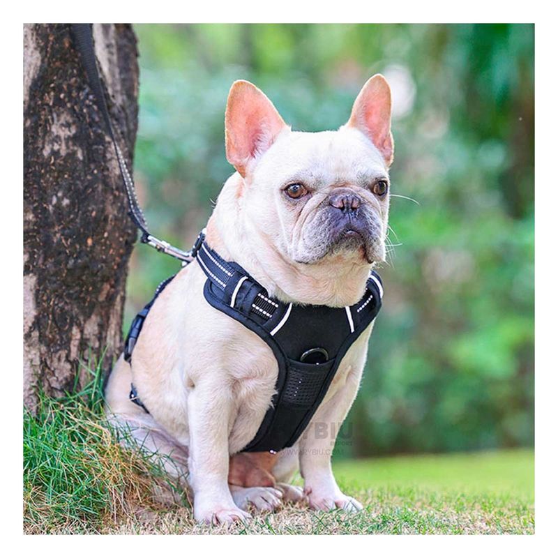 GENERICO - Pechera para Mascotas Acolchada S Negro Y+Papel de Regalo