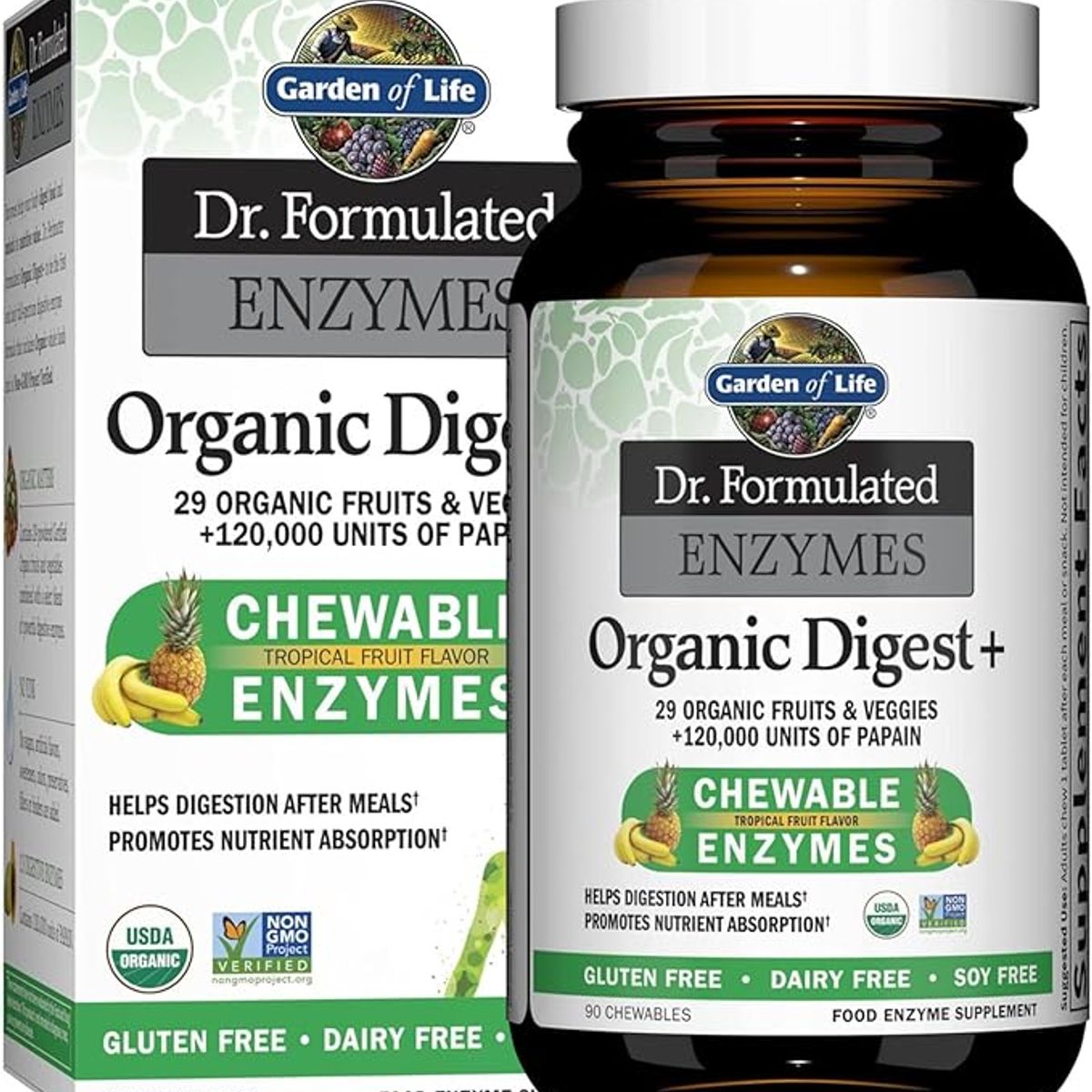 GENERICO - Garden of Life Dr. Formulated Enzimes Organic Digestive+ 90 capsulas