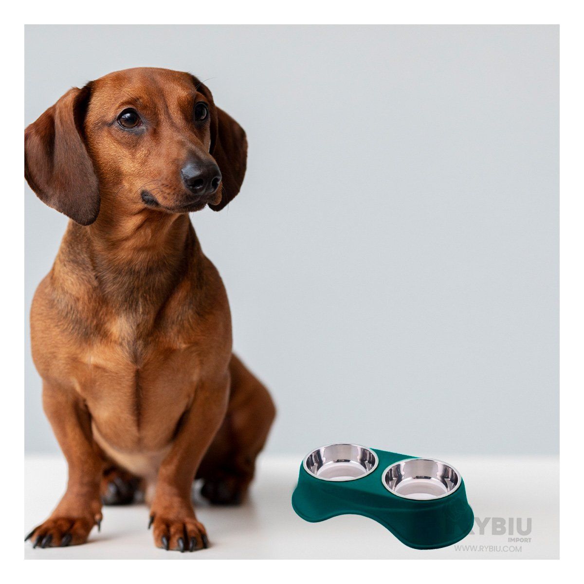 GENERICO - Comedero Doble para Mascotas Verde Oscuro Y+Papel de Regalo