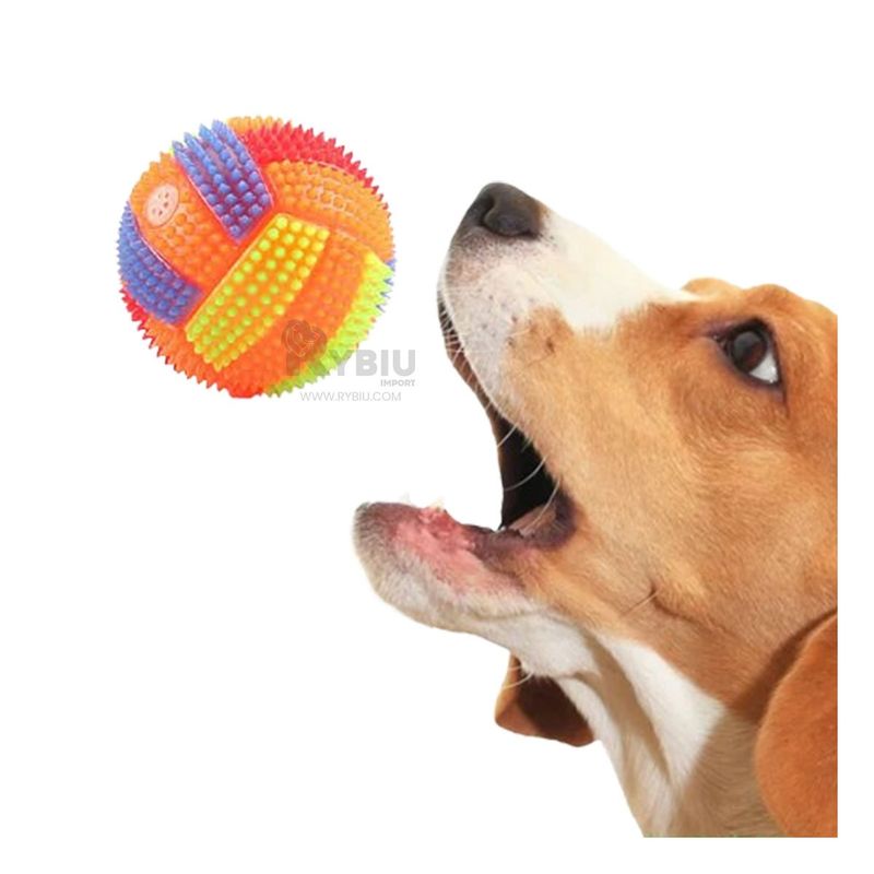 GENERICO - Balon Ideal para Actividad Fisica Naranja Y+Gift MiniAgenda