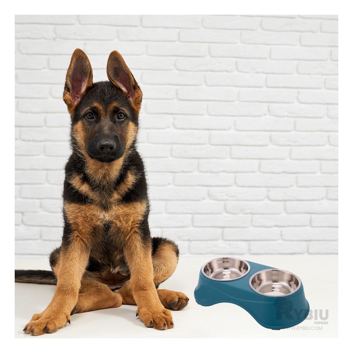 GENERICO - Comedero Doble para Mascotas Azul Oscuro Y+Papel de Regalo