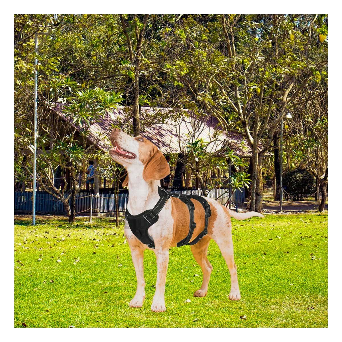 GENERICO - Pechera Ajustable con Interior Negro Y+Regalo Agendita