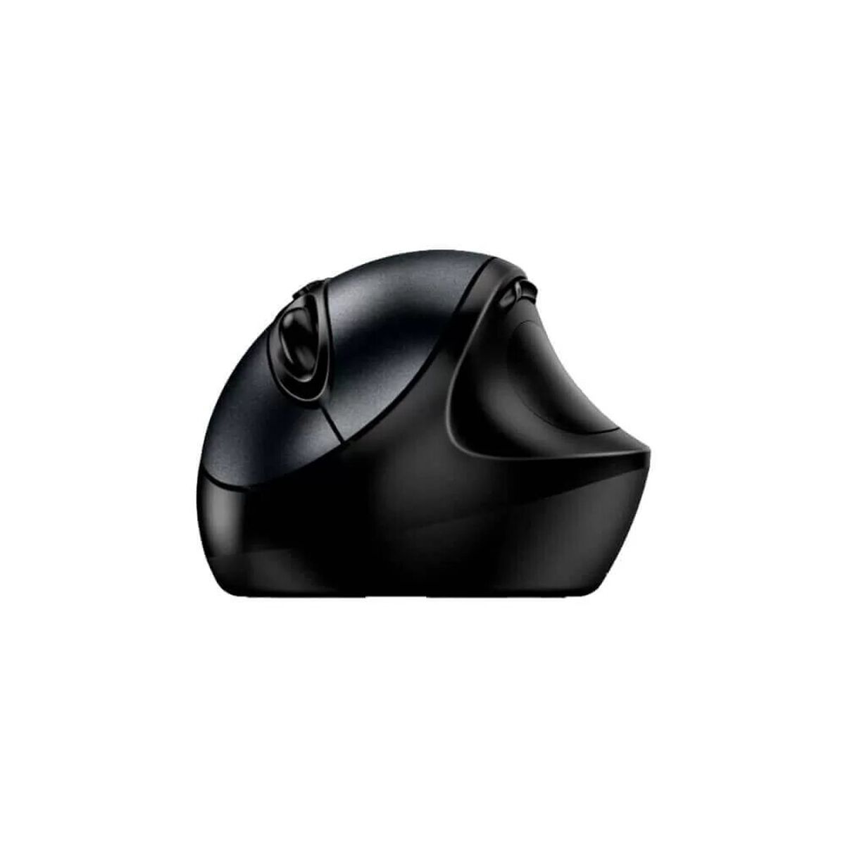 GENIUS - MOUSE GENIUS ERGO 8300S 31030037400 WIRELESS VERTICAL 7-BOT BLACK