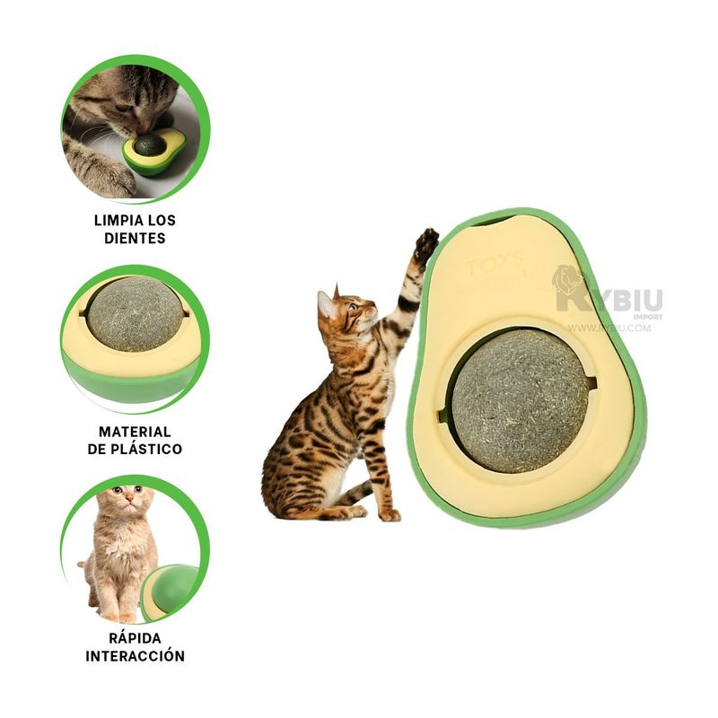 RYBIU IMPORT - Esfera Duradera para Gatos Tono Verde Y+Envoltorio de Regalo
