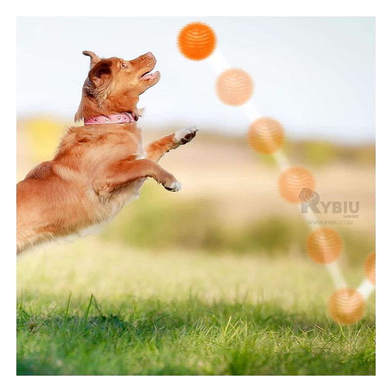 RYBIU IMPORT - Set x3 Pelotas Luminosos Mordibles Naranja Y+Regalo Agendita