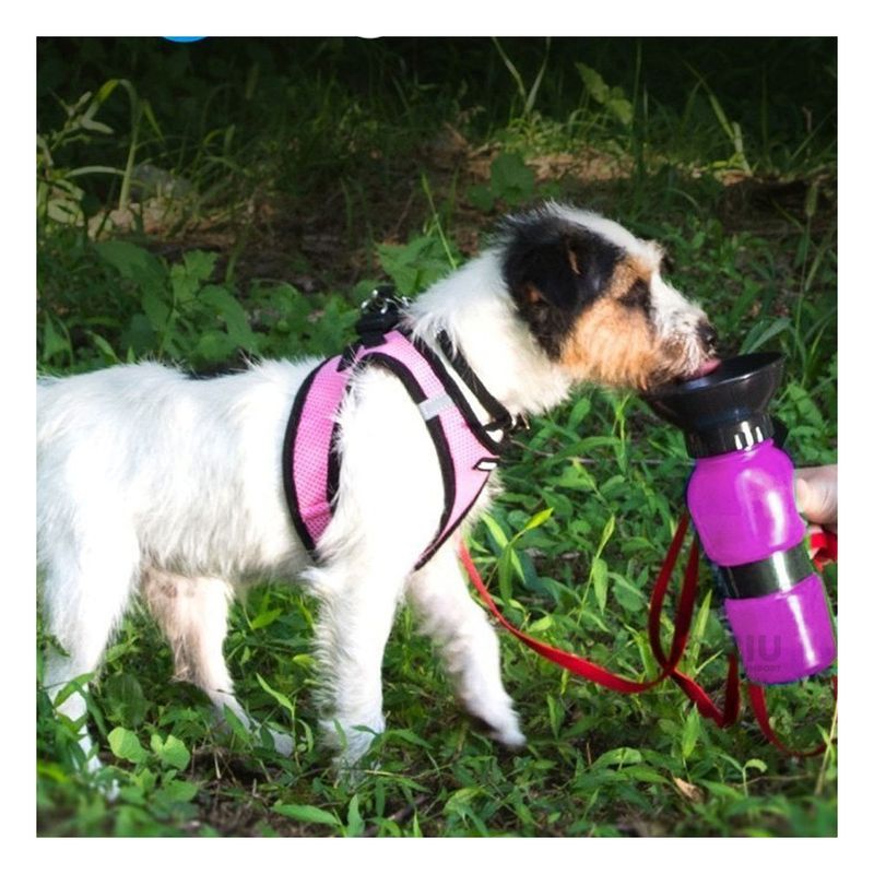 RYBIU IMPORT - Botella de Agua para Mascota Rosado Y+Gift MiniAgenda