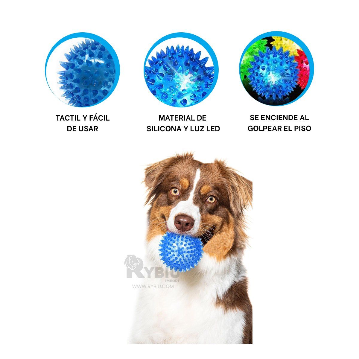 GENERICO - Conjunto Divertido de Pelotas Pet Celeste Y+Ligas de Regalo