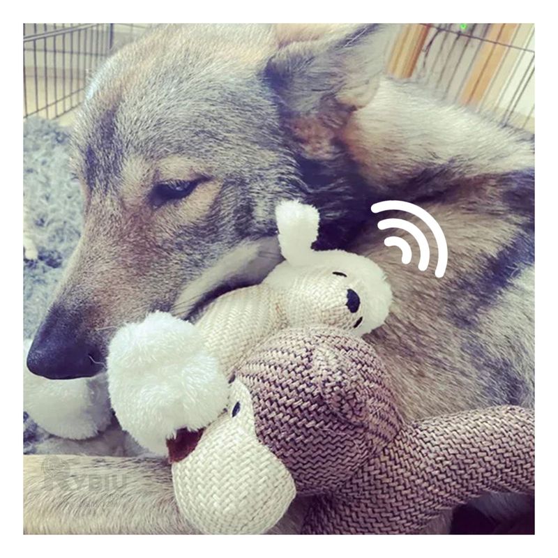 GENERICO - Peluche Didactico para Mascotas Blanco Y+Regalo Agendita