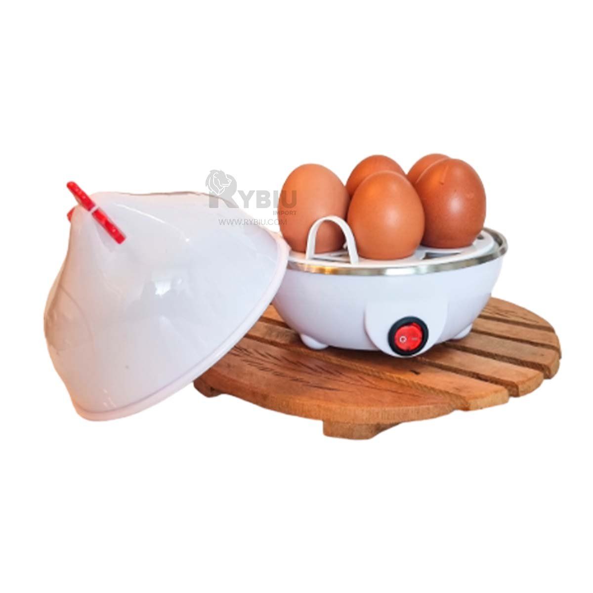 GENERICO - Gallina para Cocer Huevos de Blanco Y+Papel de Regalo