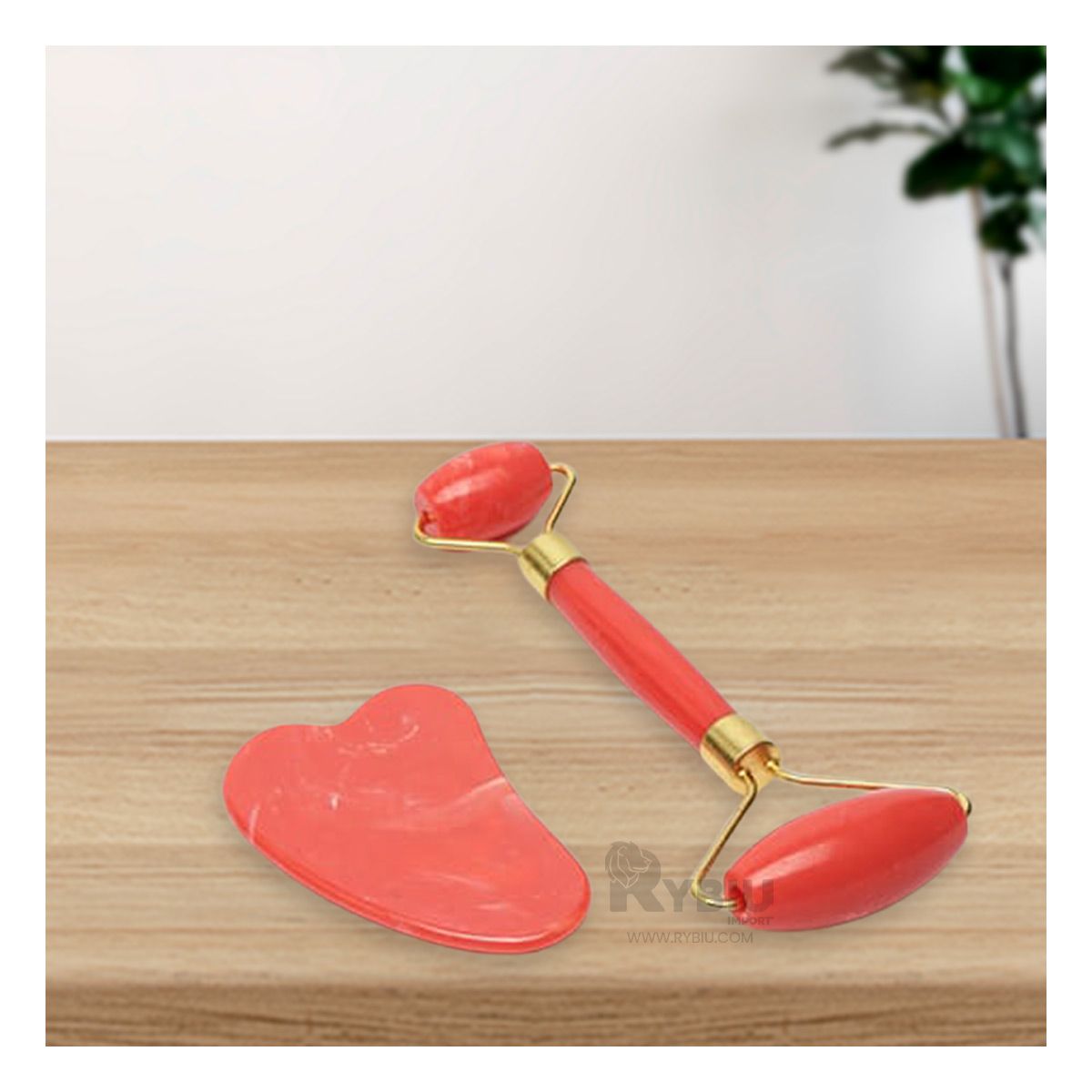 GENERICO - Set de Limpieza Facil de Plastico de Color Rojo_123