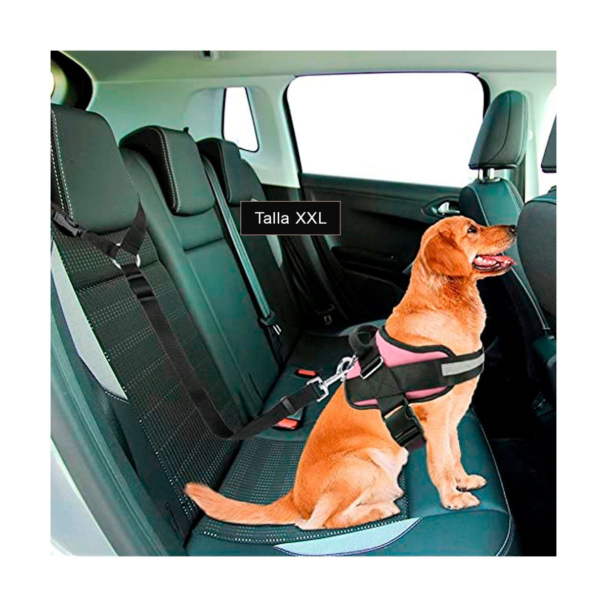 RYBIU IMPORT - Pechera de Mascota Facil Uso XXL en Rosado Y+Regalo Agendita