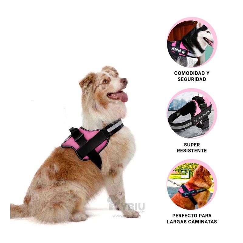 GENERICO - Correa Ideal para Perros XXL en Rosado Y+Post-it Adhesivos