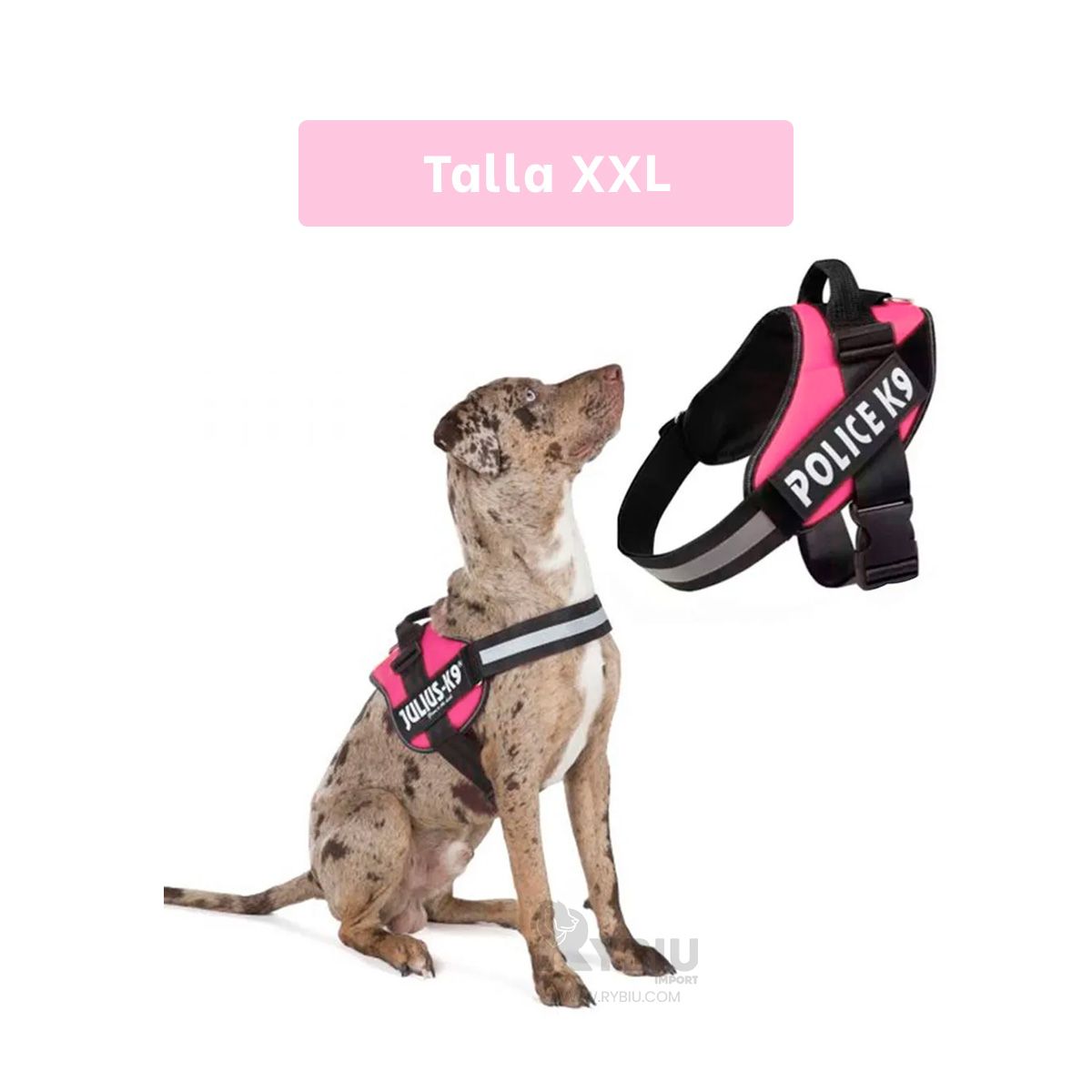 GENERICO - Correa Confortable de Perro XXL Rosa Y+Banderitas Adhesivas