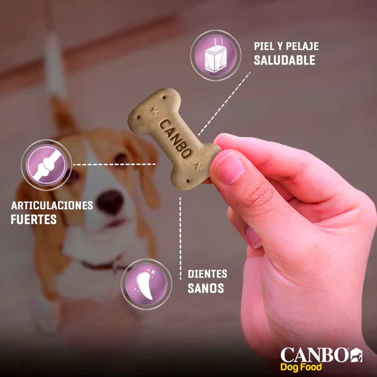 CANBO - Snack para Perro Cachorro Canbo Biscuits Cordero 200 gr