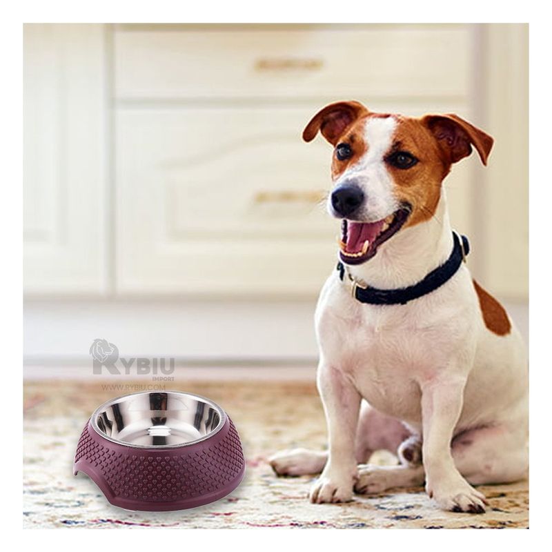RYBIU IMPORT - Plato de Acero para Can en PurpuraY+Papel de Regalo