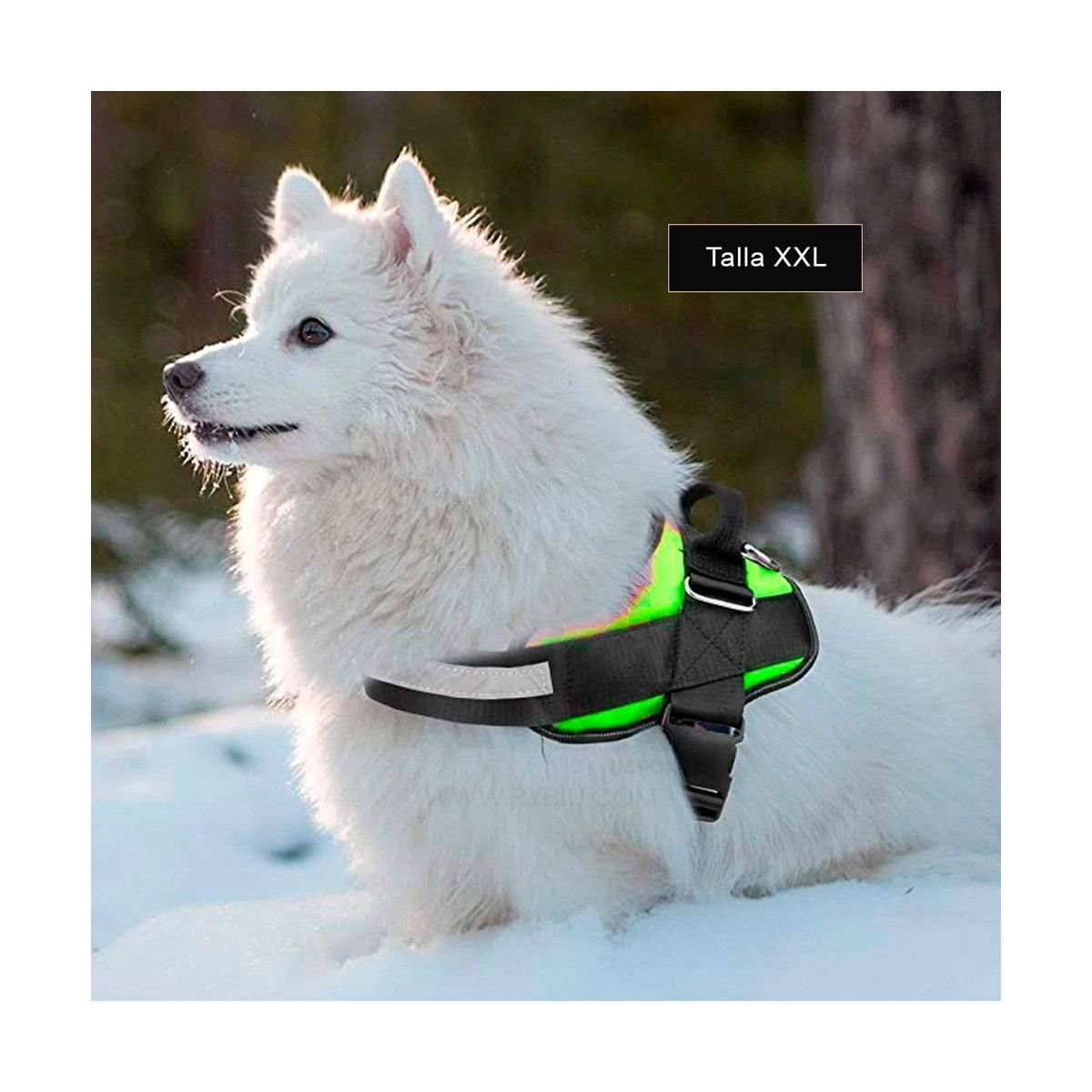 GENERICO - Arnes de Viaje con Hebilla D en Verde XXL Y+Regalo Stickers