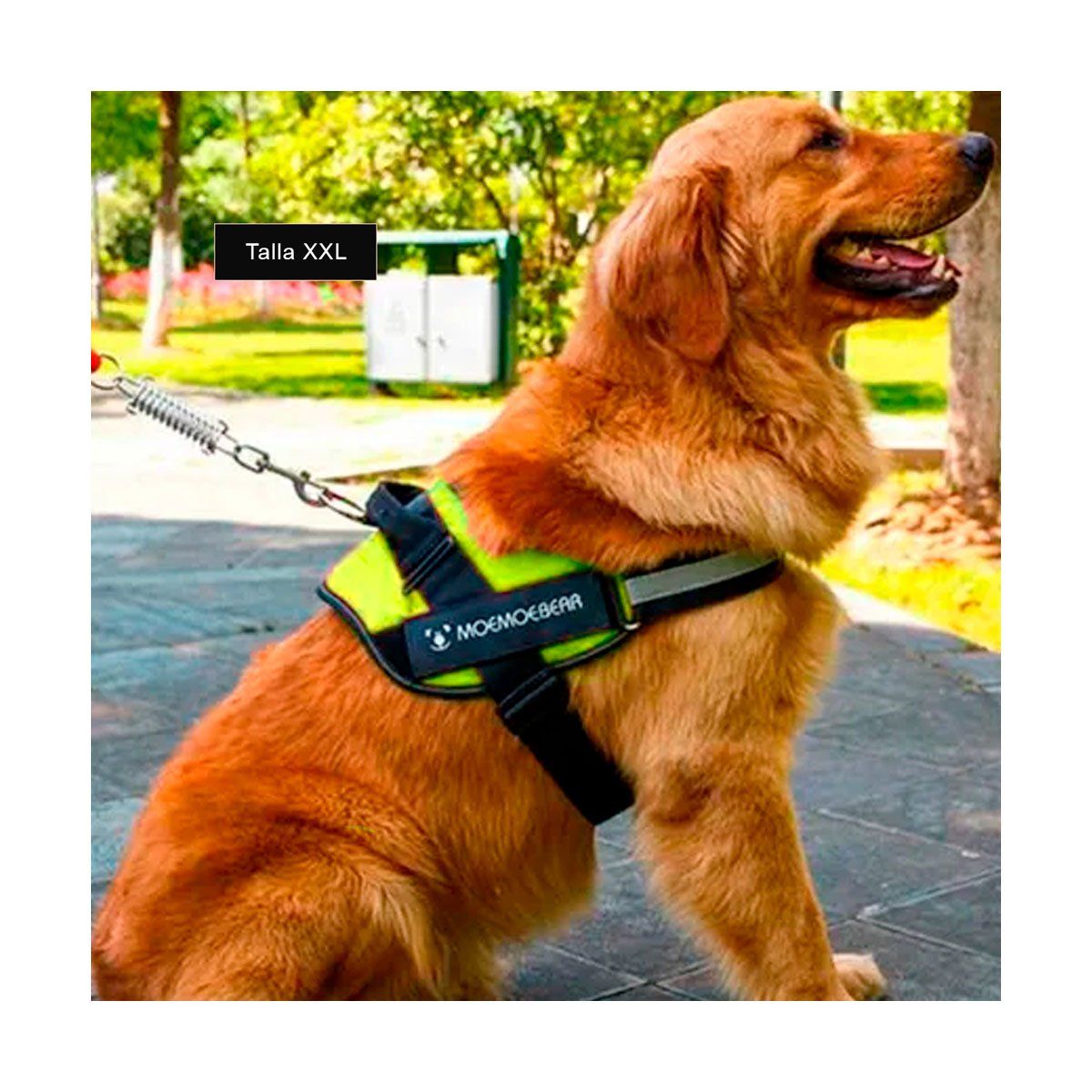 GENERICO - Arnes de Viaje con Hebilla D en Verde XXL Y+Regalo Stickers