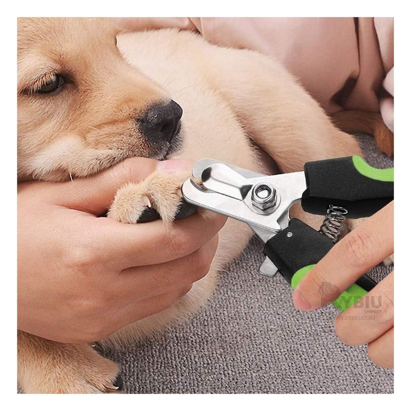 GENERICO - Cortauñas Sencillo de Lavar en Verde L Y+Regalo Agendita