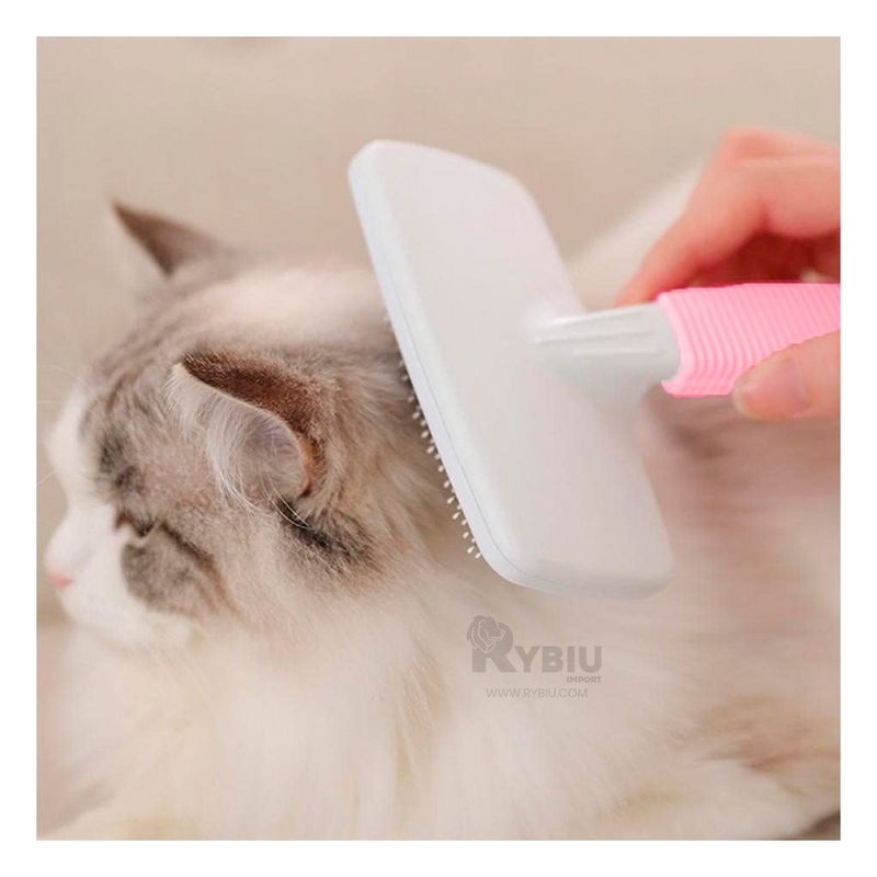 GENERICO - Kit de Peinado de Gatos Portatil en Rosado Y+Papel de Regalo