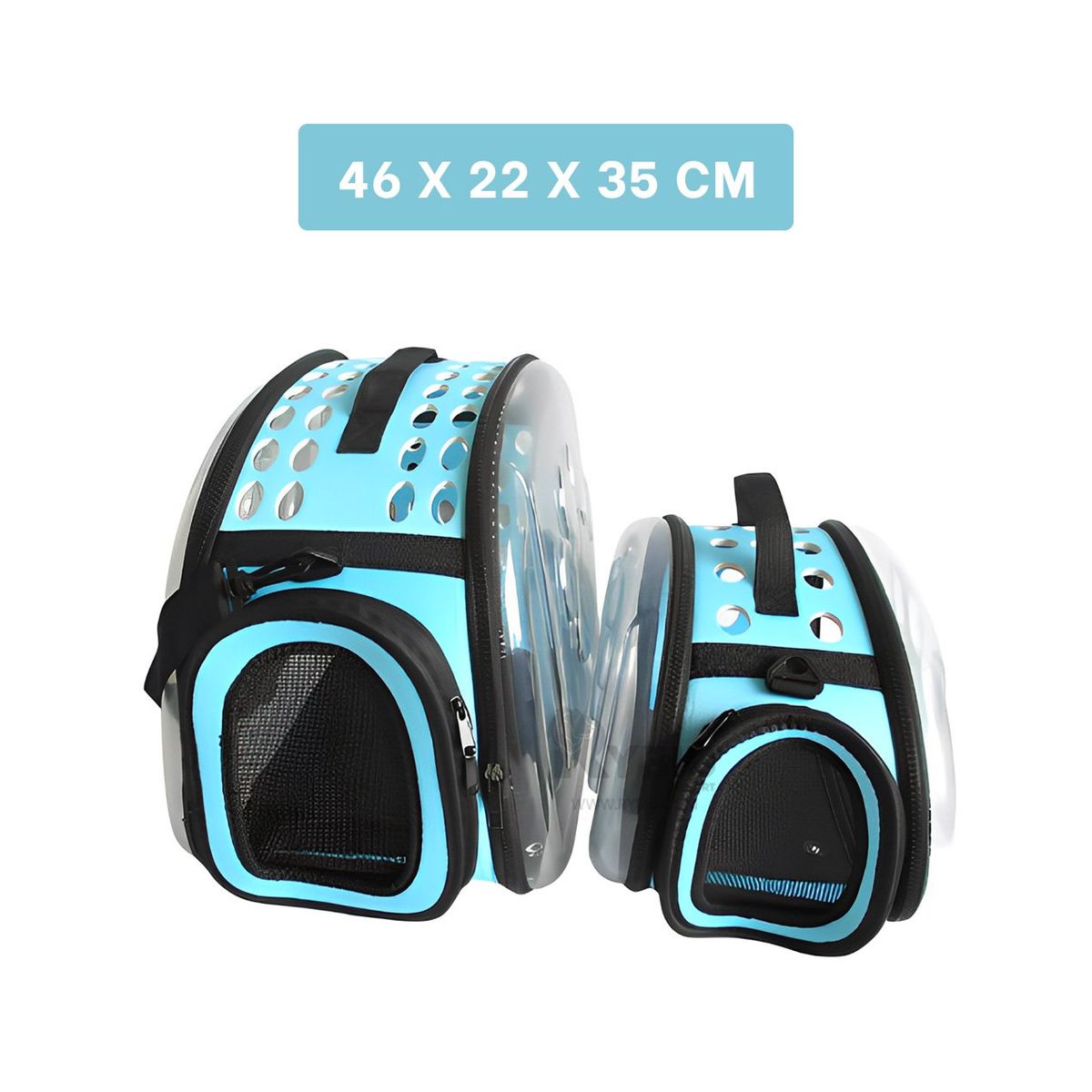 GENERICO - Jaula de Perros y Gato en Celeste Y+Regalo Ligas para Peinar