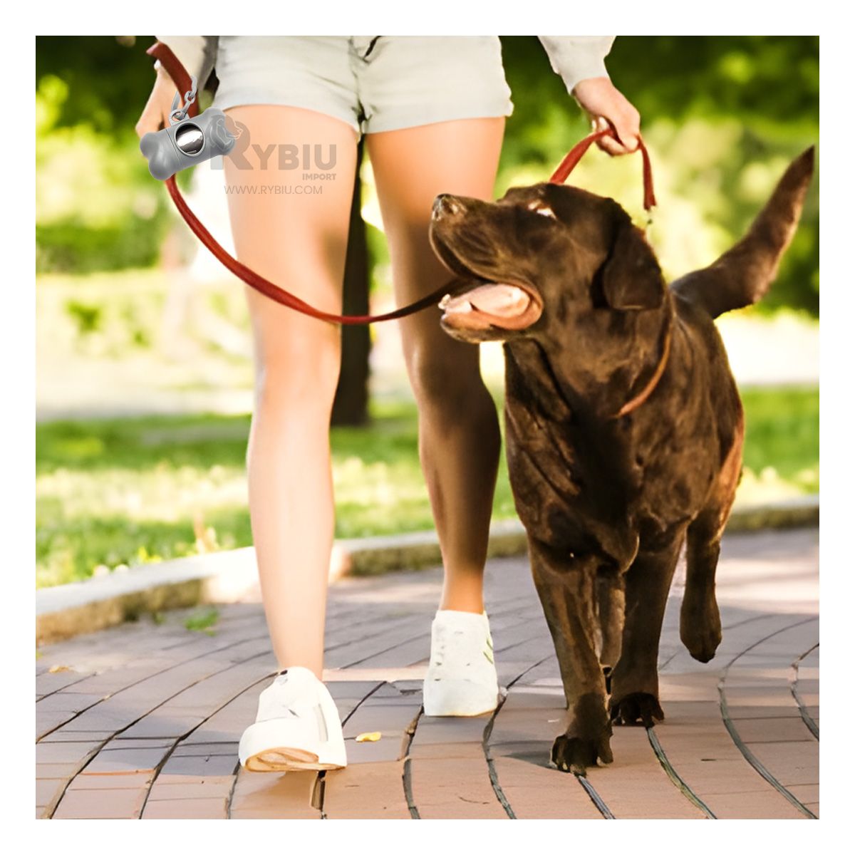 RYBIU IMPORT - Bolsa de Desecho con Protector tipo hueso Pet en Gris