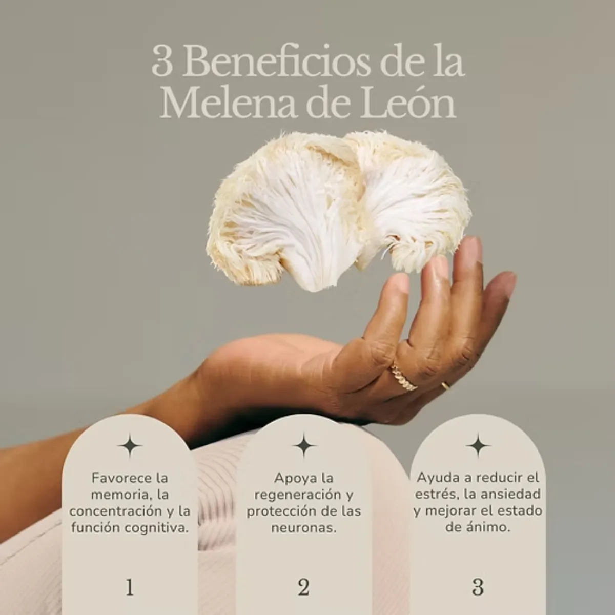 DINOA - Melena de León Pote de 80gr Dinoa- Bienestar -Concentración- Salud cerebral