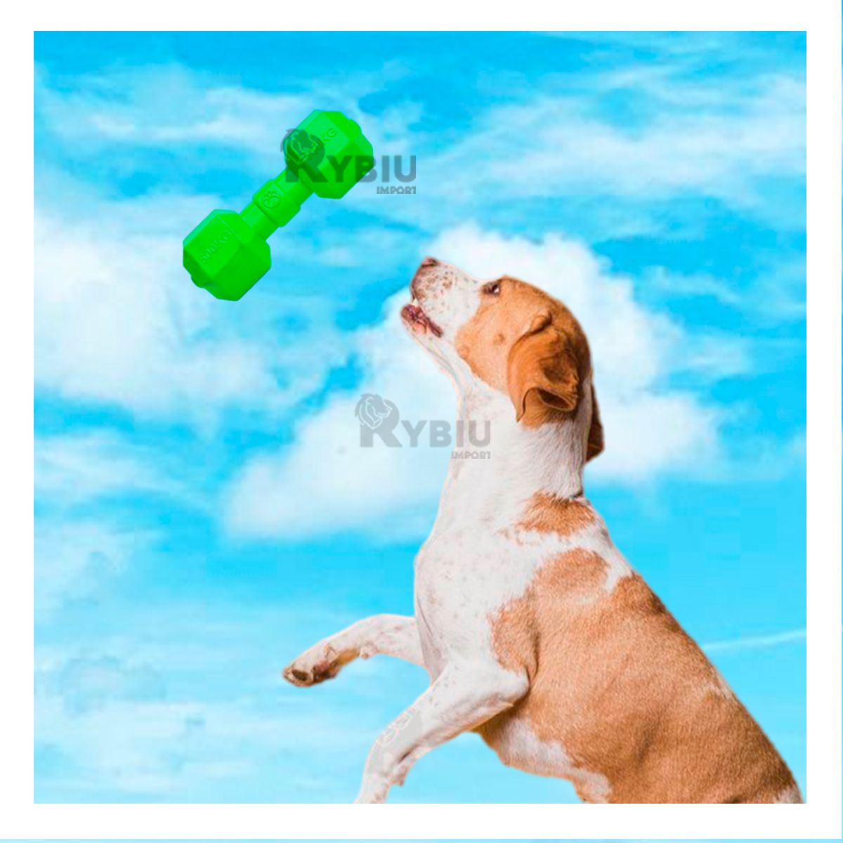 RYBIU IMPORT - Juguete Entretenido Lion para Can Verde Y+Regalo Stickers