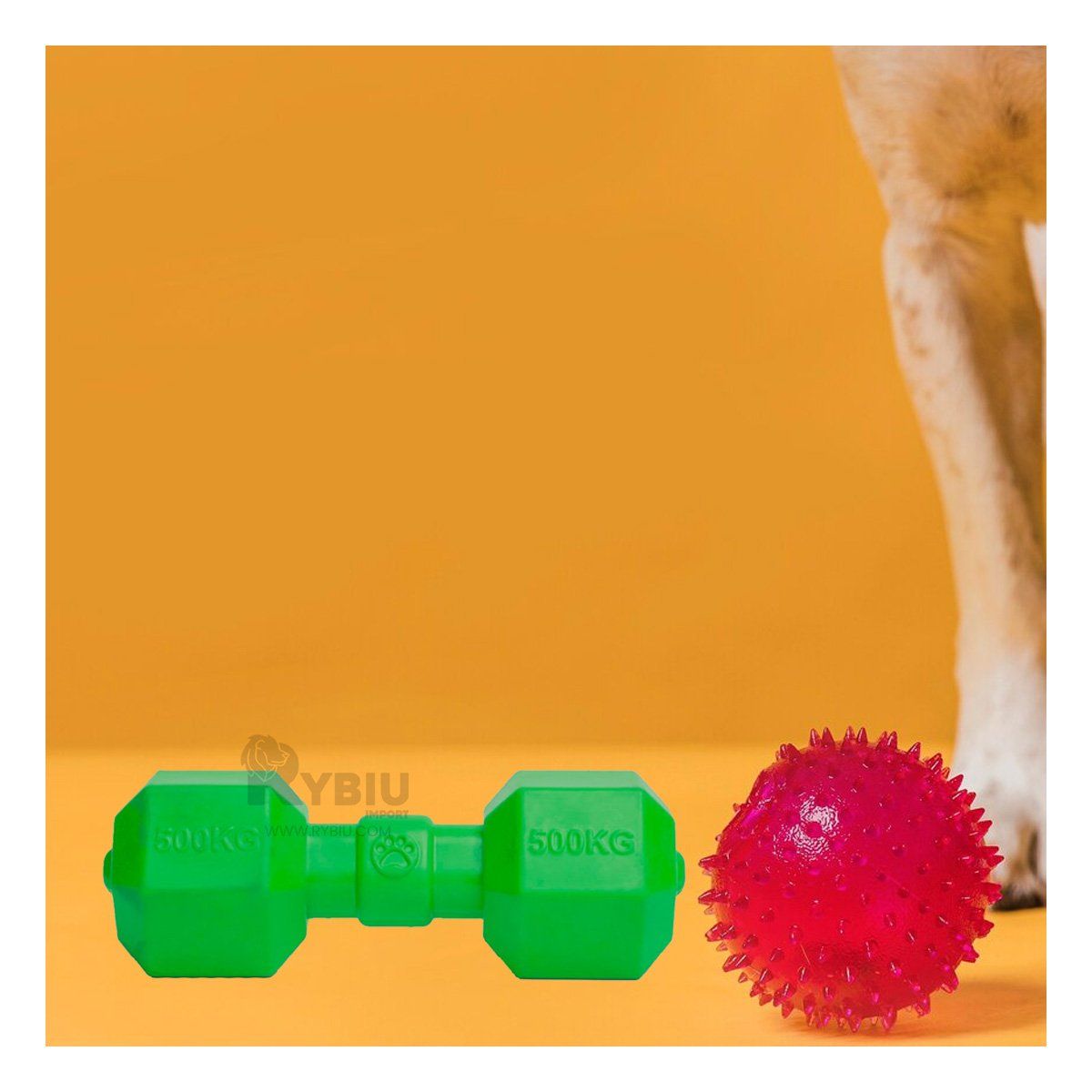 RYBIU IMPORT - Juguete Entretenido Lion para Can Verde Y+Regalo Stickers