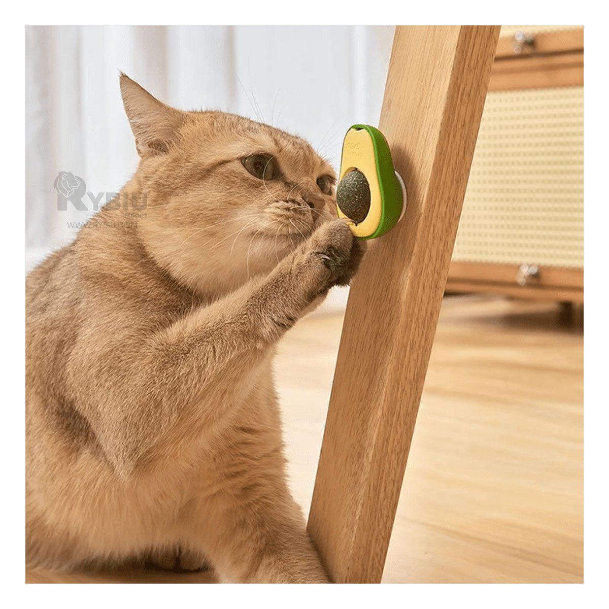 GENERICO - Esfera de Juguete para Gatos Palta Verde Y+Gift MiniAgenda