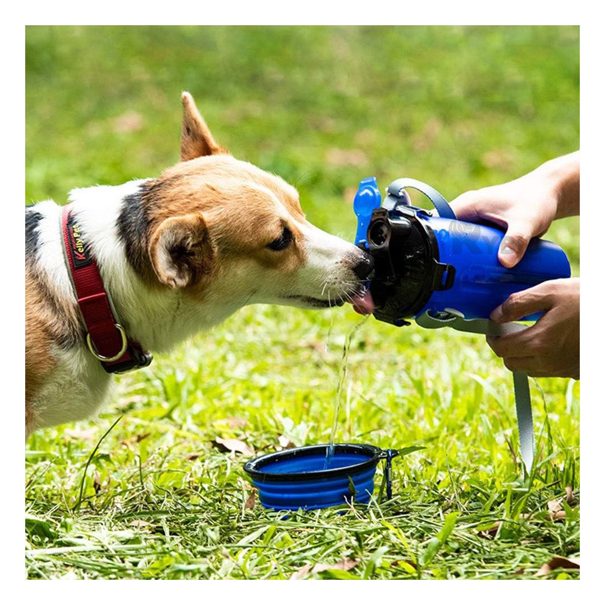 GENERICO - Dispensador de Comida de Mascotas Azul Y+Regalo Agendita