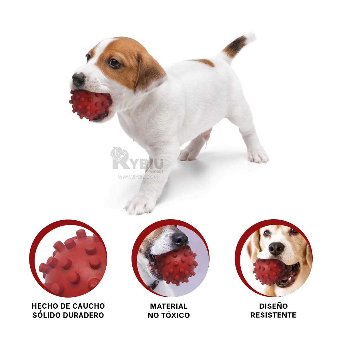 RYBIU IMPORT - Pelota Entrenar a tu Cachorro de Color Rojo Y+Gift Stickers