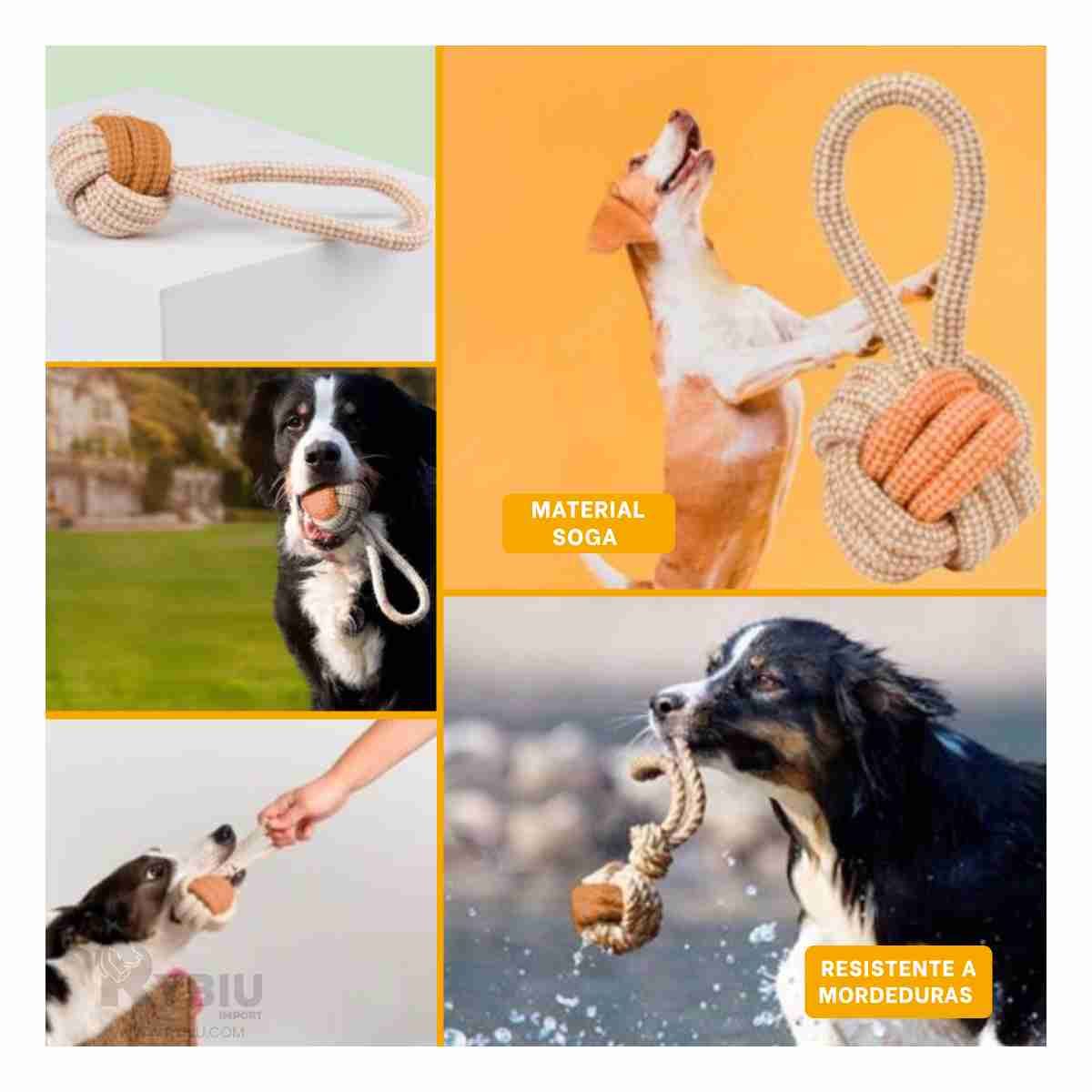 RYBIU IMPORT - Soga de Entrenamiento Util Color Mostaza Y+Regalo Stickers