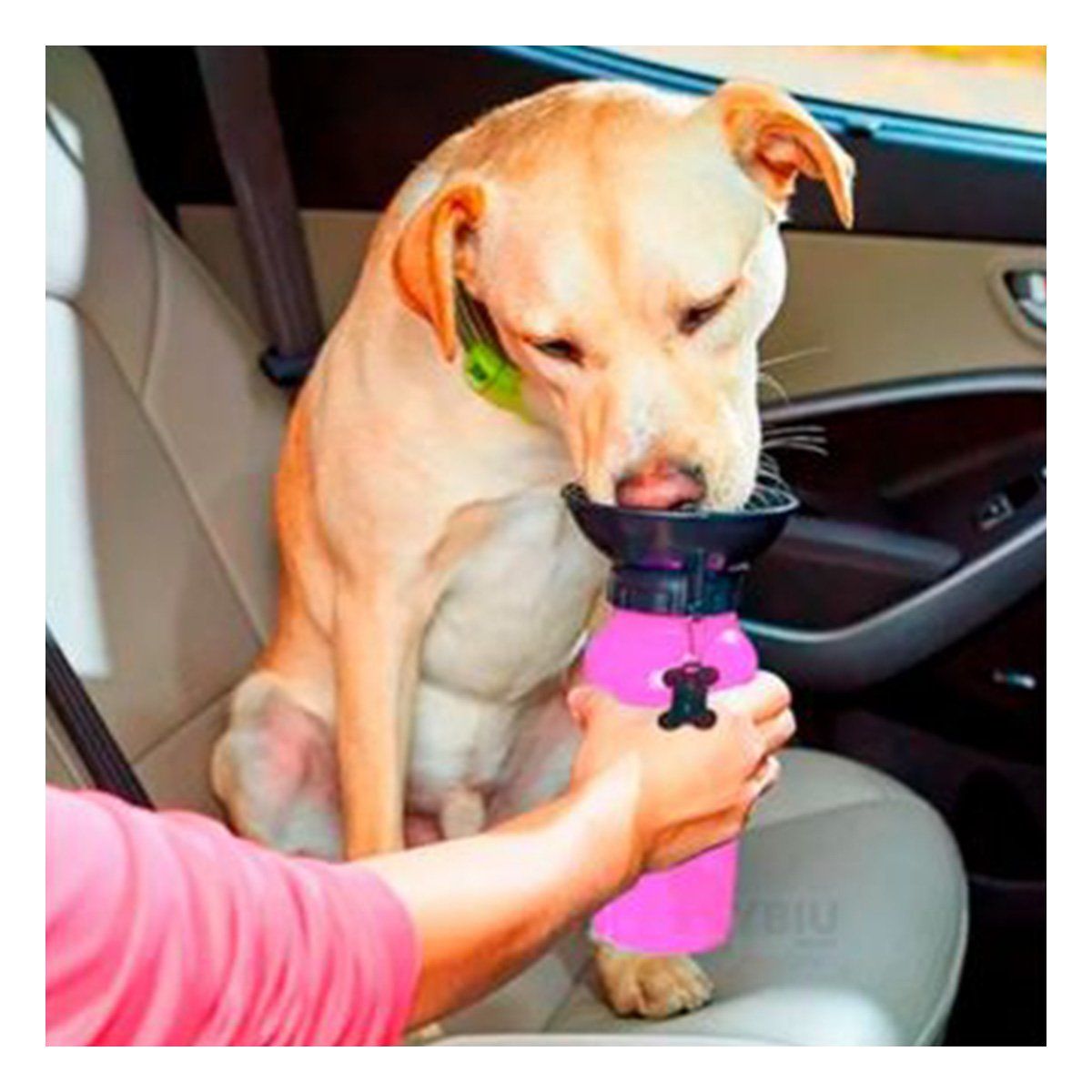 GENERICO - Aqua Dog Botella Portatil para Agua para Mascotas Rosado