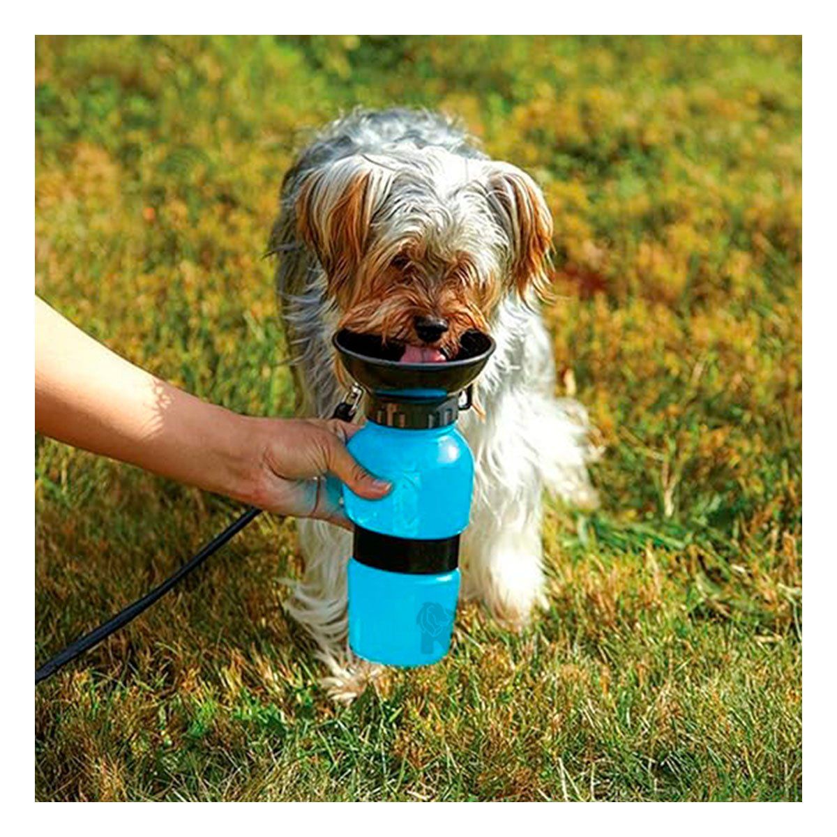 GENERICO - Botella de Agua Funcional para Perros Azul Y+Gift MiniAgenda