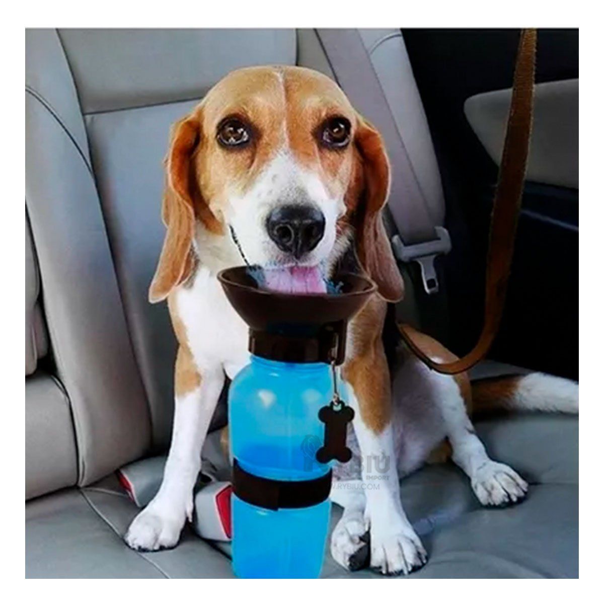 GENERICO - Botella de Agua Funcional para Perros Azul Y+Gift MiniAgenda