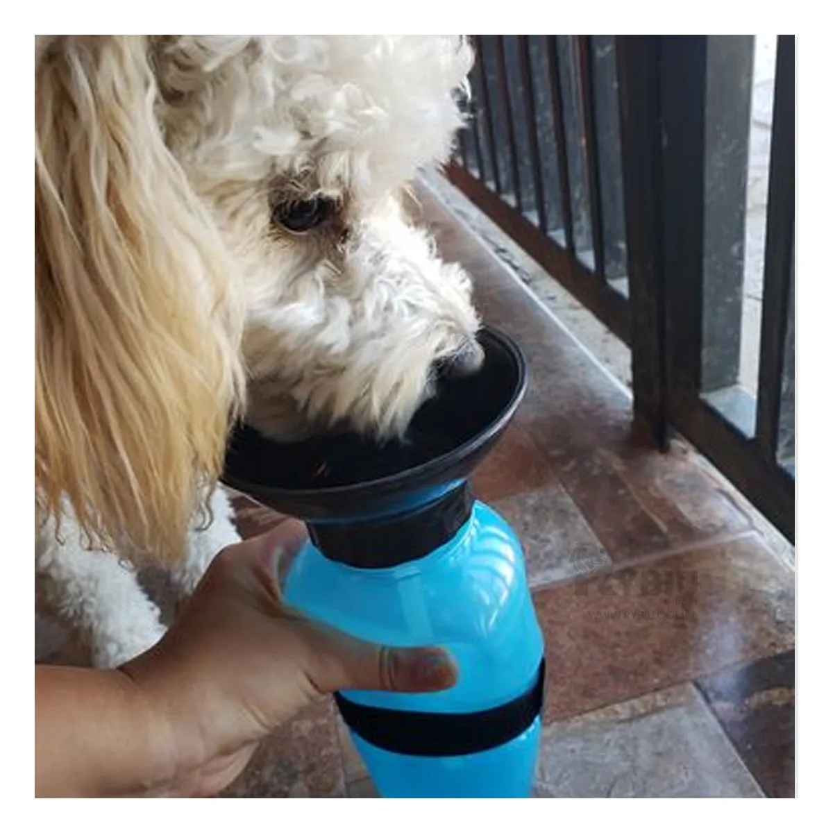 GENERICO - Aqua Dog Botella Practico y Portatil para Agua de Color Azul