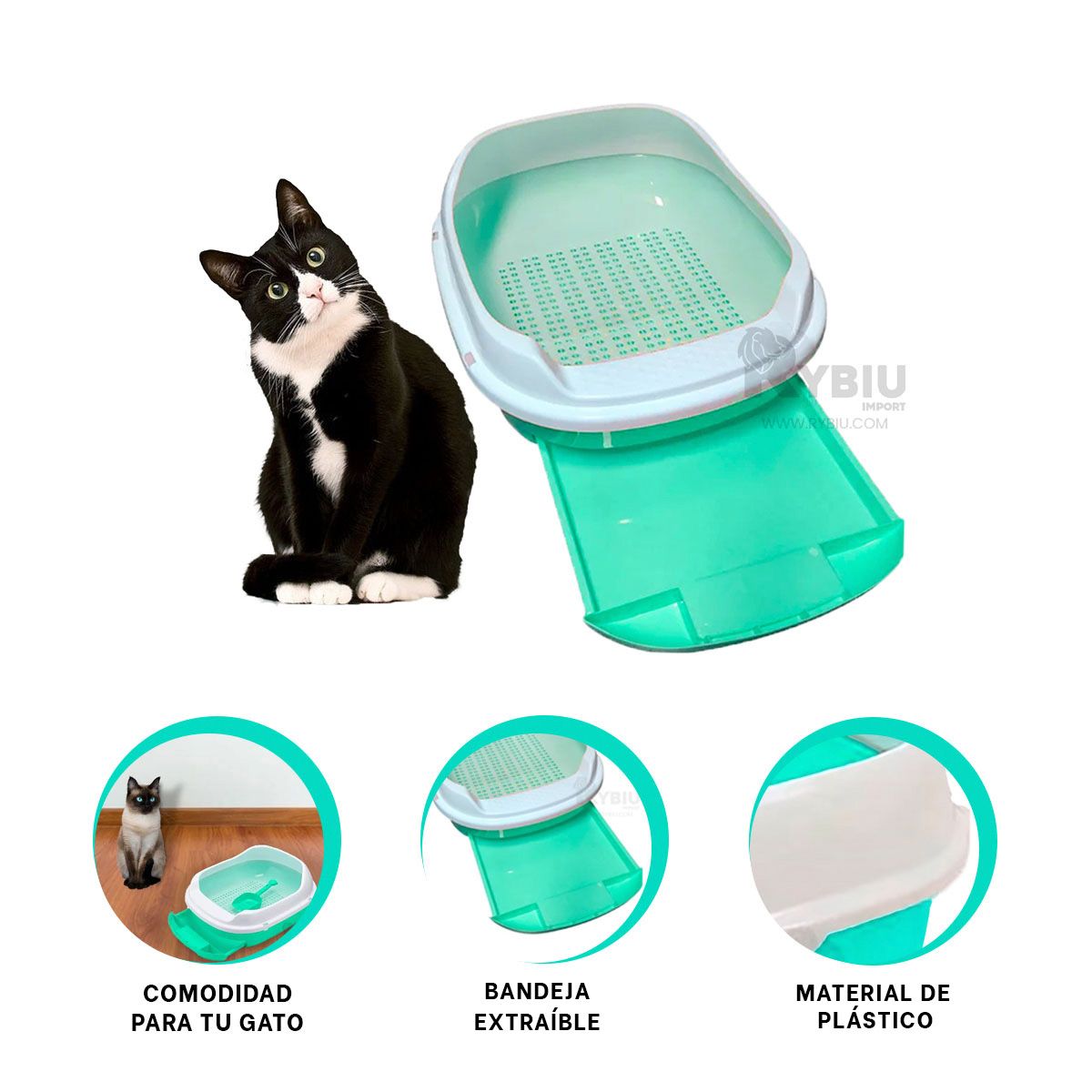GENERICO - Bandeja Practica para Gato Tono Verde Agua Y+Regalo Stickers