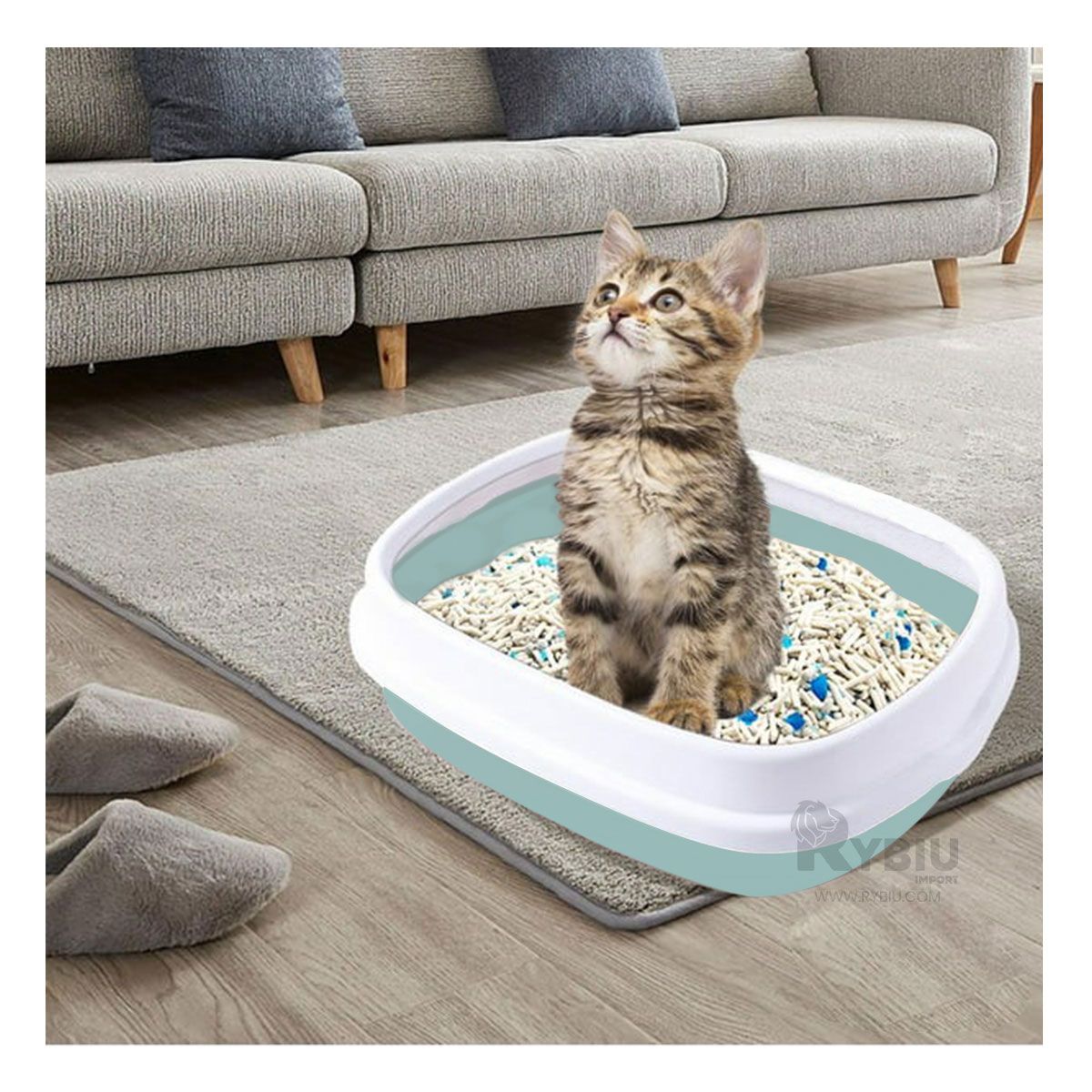 GENERICO - Arenero Diseño Moderno de Gato Celeste Y+Regalo Agendita