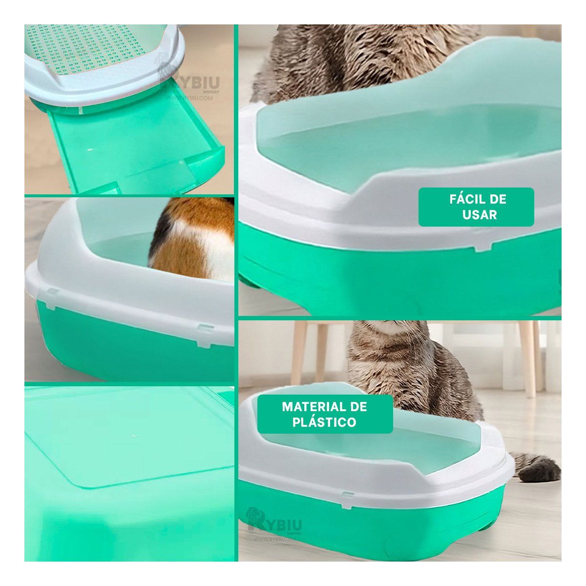 GENERICO - Recipiente Multiple para Gato Verde Agua Y+Ligas de Regalo