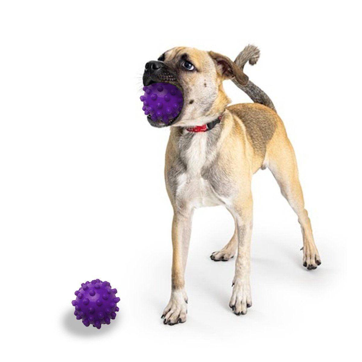 RYBIU IMPORT - Pelota Chica en Diseño Simple en Morado Y+Regalo Agendita