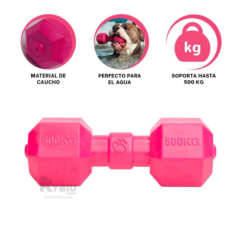 GENERICO - Juego de Caucho para Perro Color Rosado Y+Post-it Adhesivos