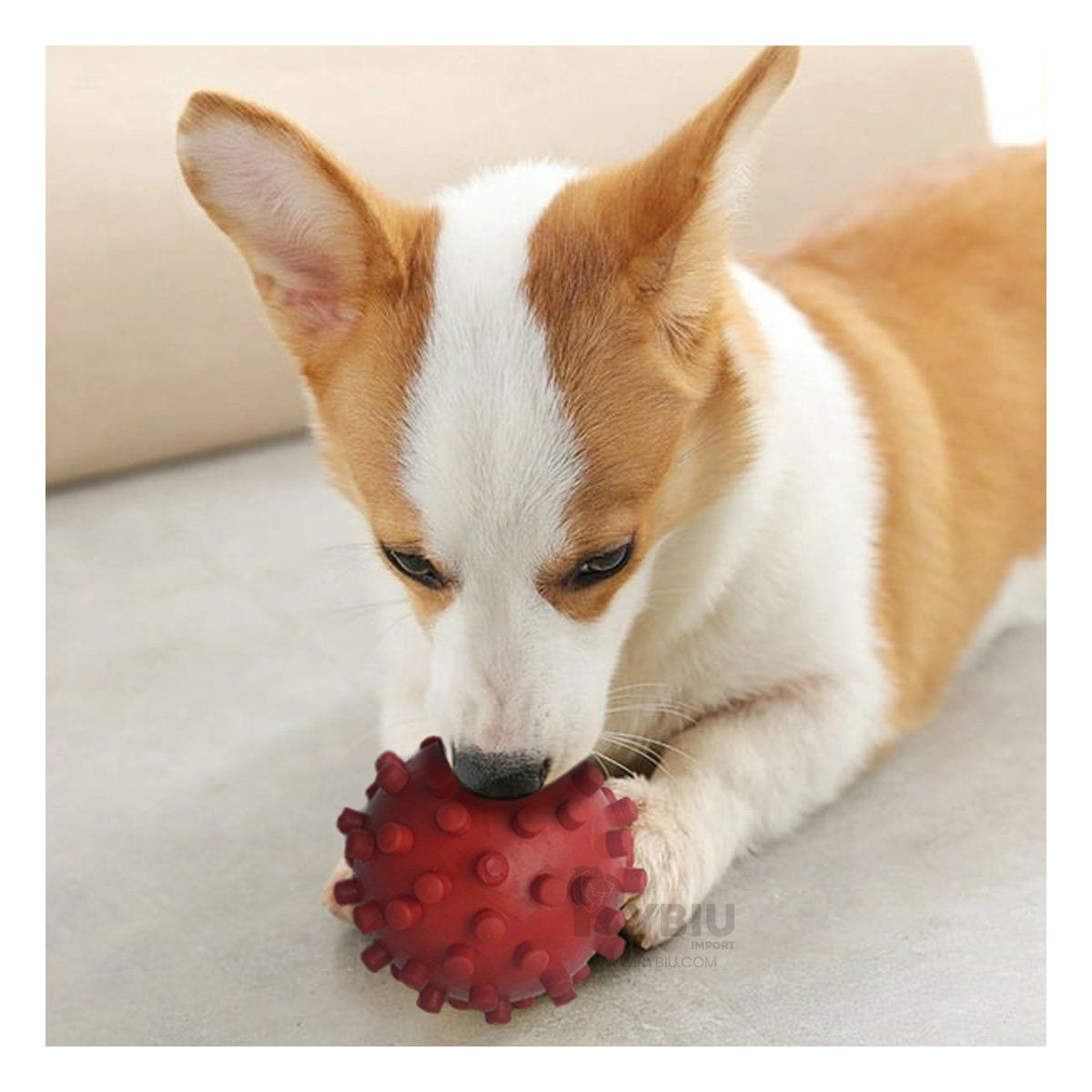 RYBIU IMPORT - Juguete para Entretener al Can en Rojo Y+Regalo Stickers