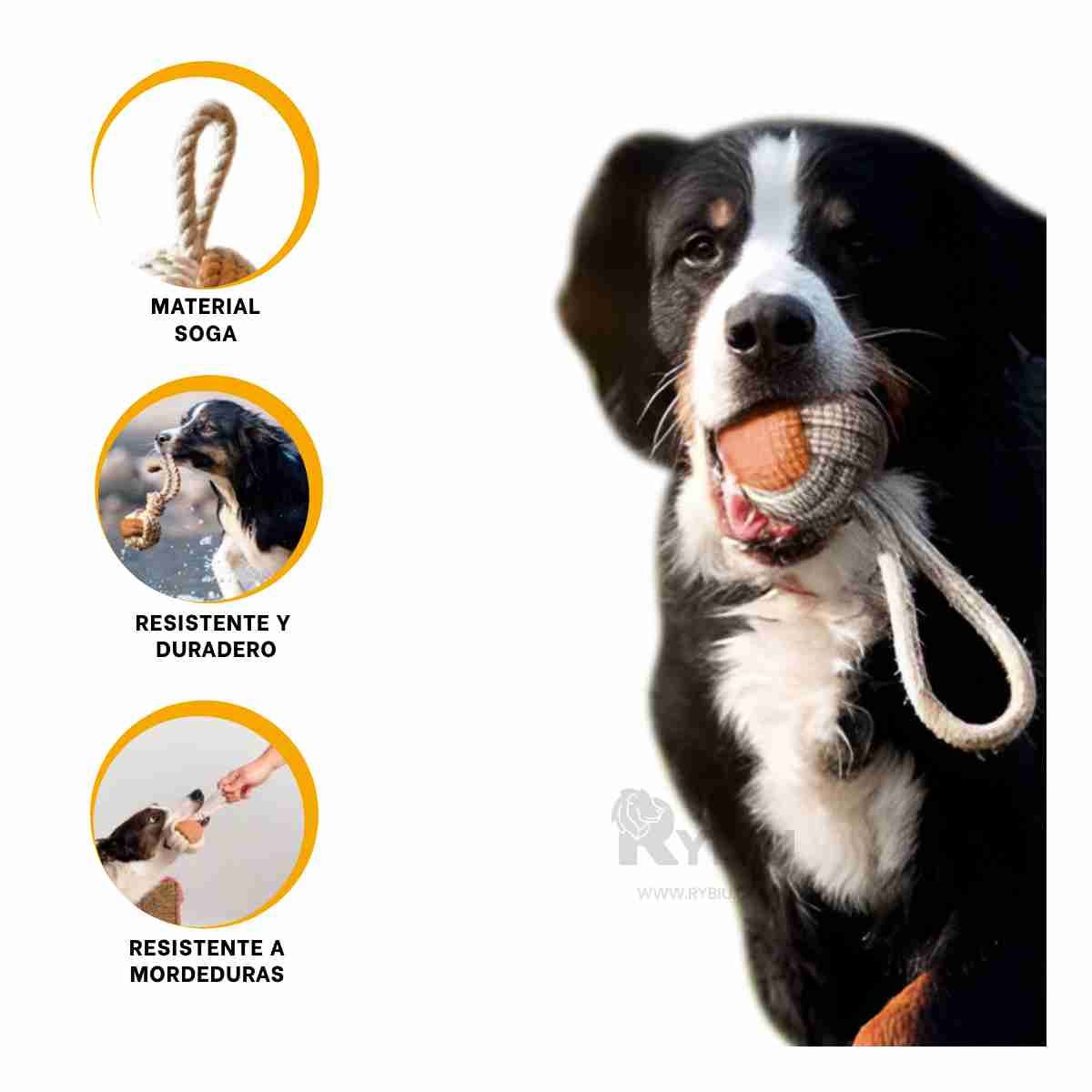 GENERICO - Soga de Entrenamiento Util Color Mostaza Y+Regalo Stickers