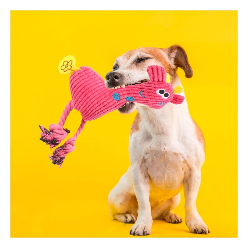 GENERICO - Girafa Encantadora para Canes Rosado Y+Papel de Regalo