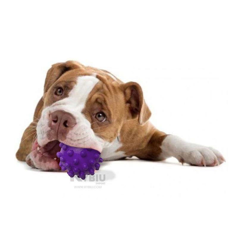 GENERICO - Balon de Caucho para Perro Morado Y+Ligas de Regalo